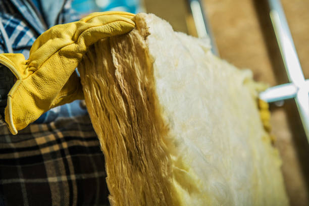 Best Insulation Installation Services in Lake Orion, MI