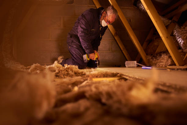 Best Residential Insulation in Lake Orion, MI